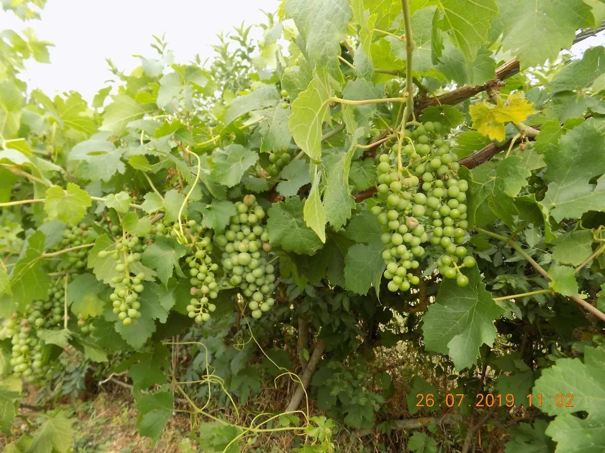 Aux Roses Villa Vrolle 0*,  Frankrijk